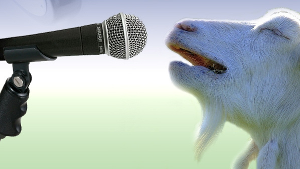 goat-singing.jpg